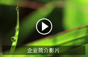 企业简介影片